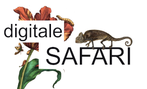 Spiele-Safari